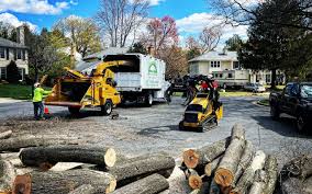 Seasonal Cleanup (Spring/Fall) in Audubon Park, NJ