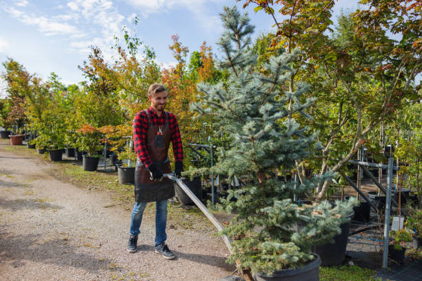 Best Soil Testing and Treatment  in Audubon Park, NJ